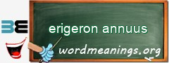 WordMeaning blackboard for erigeron annuus